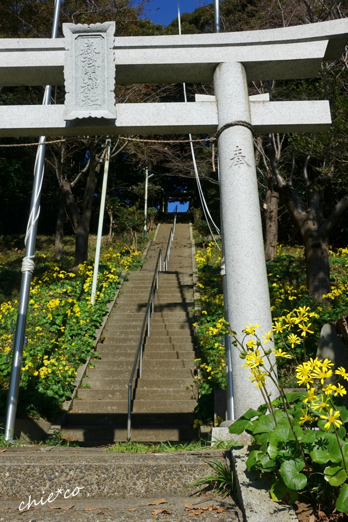 森浅間神社-061