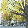 横浜公園～山下公園さんぽ-107