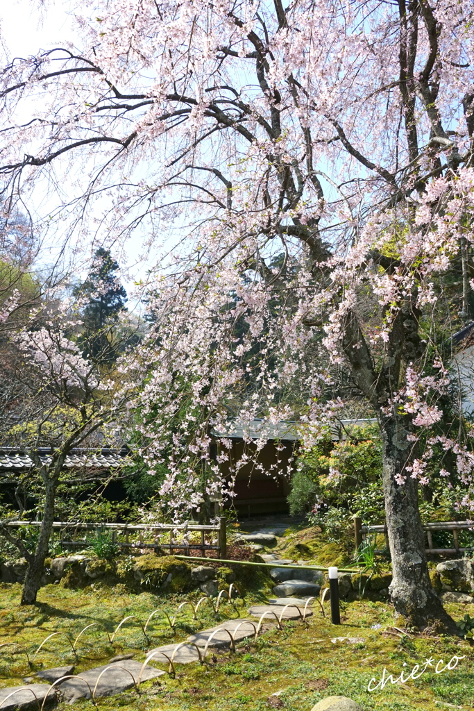 鎌倉-451