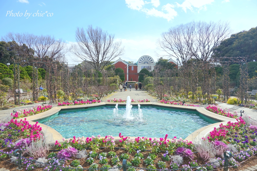 港の見える丘公園-069