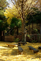 北鎌倉-296