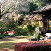 川越-072