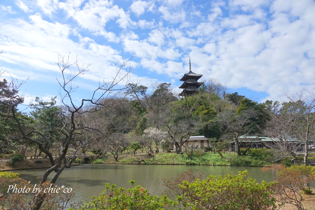 三渓園-246