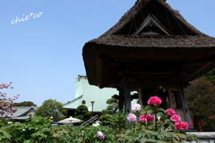 龍華寺 伊藤博文別邸-145