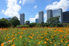 浜離宮恩賜庭園-162