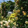 港の見える丘公園-053