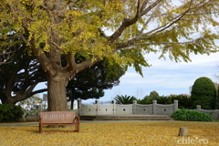 山手イタリア山庭園-235