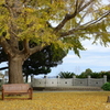 山手イタリア山庭園-235