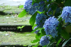 鎌倉-291