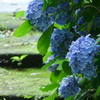 鎌倉-291