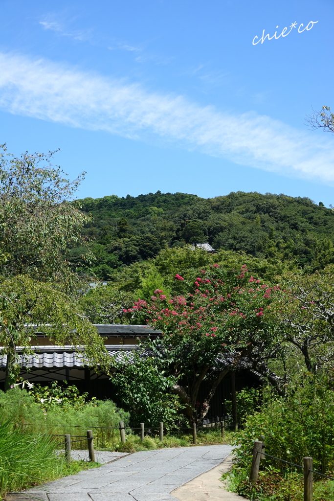 北鎌倉-371