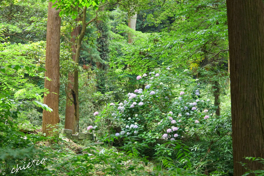 鎌倉-096