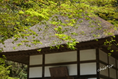 鎌倉-487