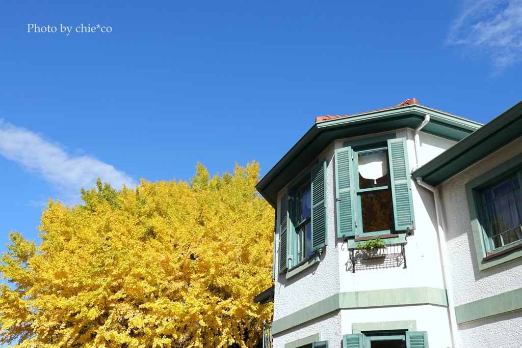 山手イタリア山庭園-159