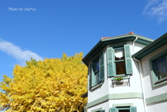 山手イタリア山庭園-159