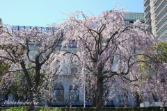 Yokohama-262