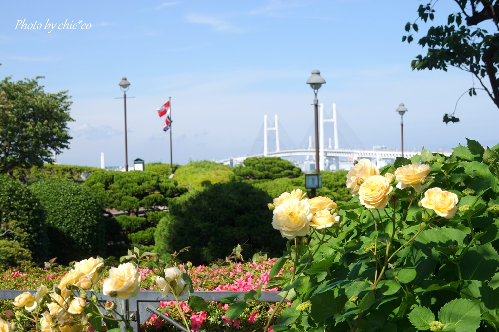 港の見える丘公園-149