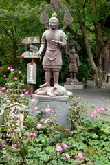 鎌倉長谷寺-132