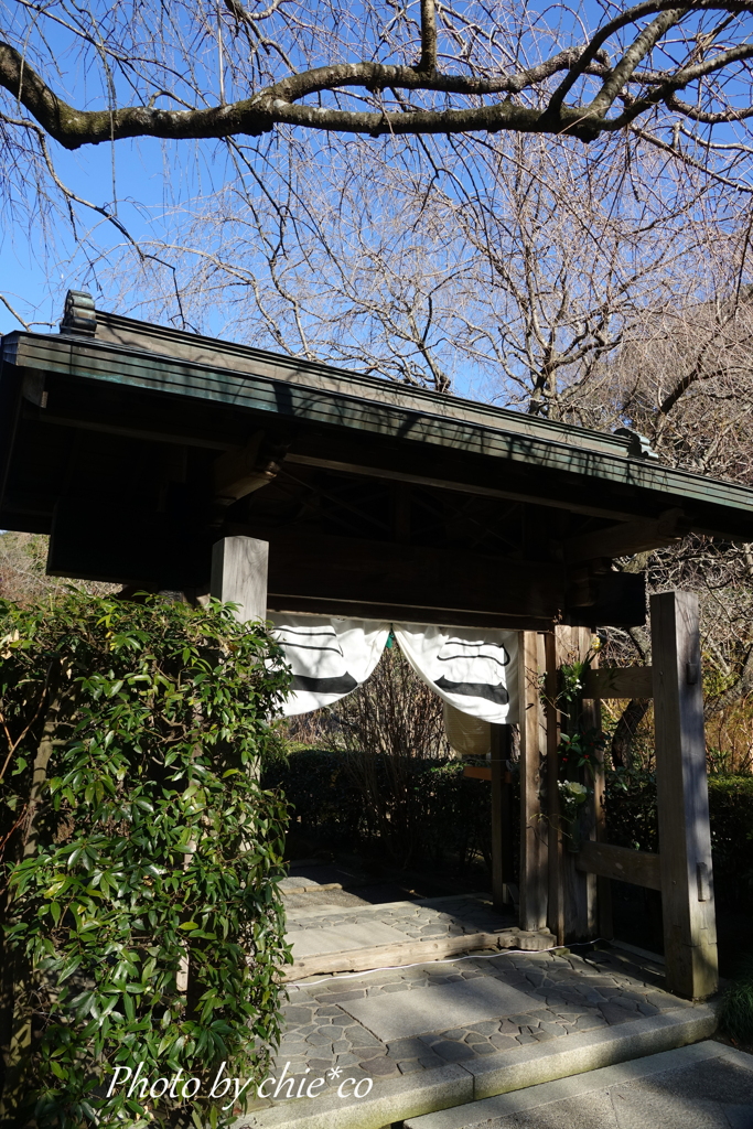明月院-207