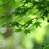 鎌倉-103