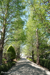 山手イタリア山庭園-130