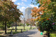 アメリカ山公園-067