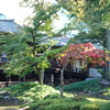 川越-070