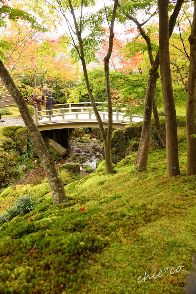 箱根美術館庭園-183