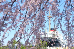 Yokohama-266