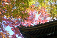 三渓園-401