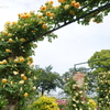 港の見える丘公園-078