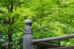 鎌倉-103