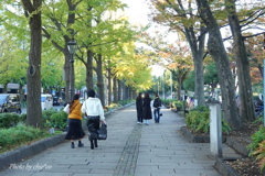 横浜公園～山下公園さんぽ-115