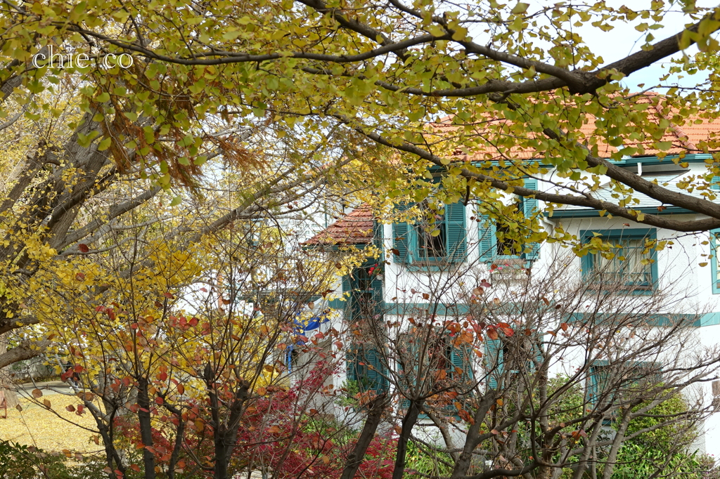 山手イタリア山庭園-249