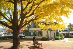 山手イタリア山庭園-155