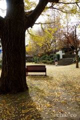 山手イタリア山庭園-237