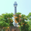 山下公園-232