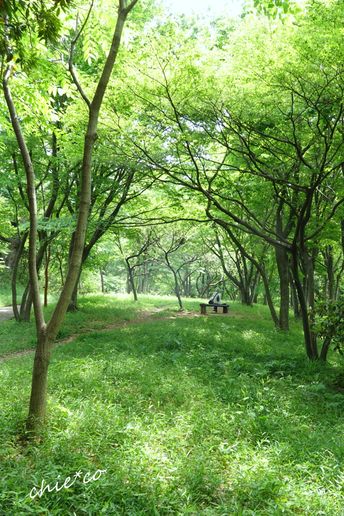 久良岐公園-148
