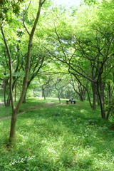 久良岐公園-148