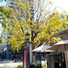 Yokohama-123
