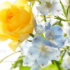 黄色と。。みずいろ。。。