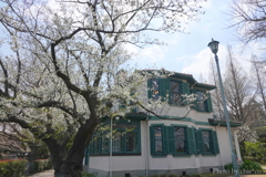 山手イタリア山庭園-146