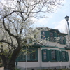 山手イタリア山庭園-146