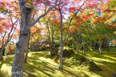 箱根美術館庭園-084