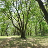 久良岐公園-126