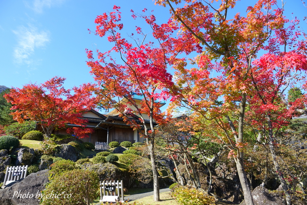 箱根美術館庭園-088