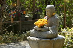 鎌倉-500