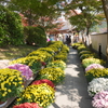 宝徳寺-161