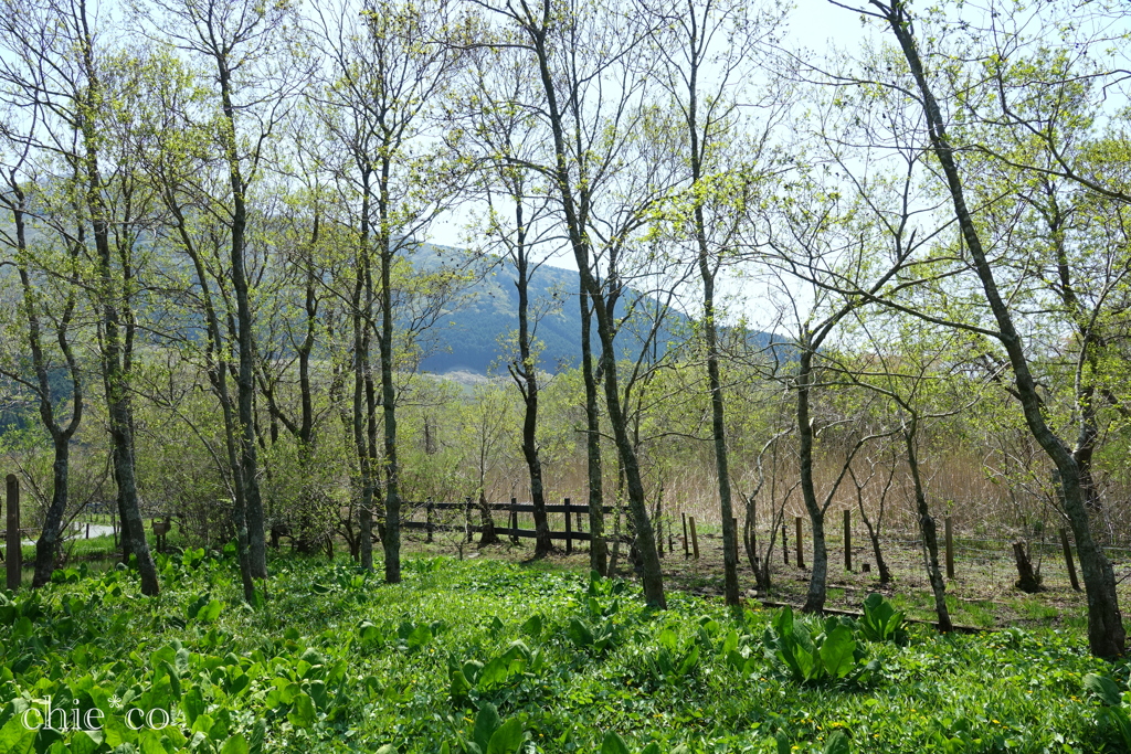 箱根-378