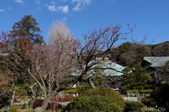 鎌倉-193